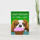 Zoek naar cavalier king charles spaniel kaarten Schattig