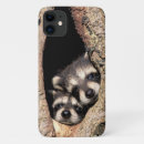 Zoek naar wasberen iphone hoesjes Wilde dieren