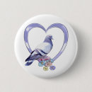 Zoek naar duiven buttons Vogel