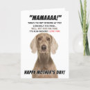 Zoek naar weimaraner briefkaarten Huisdier