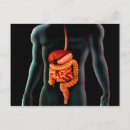 Zoek naar torso briefkaarten Close up