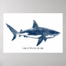 Zoek naar haai tekening posters Grote witte haai