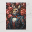 Zoek naar pak briefkaarten Mooi