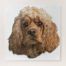 Zoek naar cocker spaniel puzzels Dieren