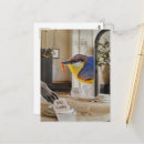 Zoek naar grappige vogel briefkaarten Uniek