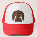 Zoek naar chocolade petten Hond