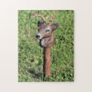 Zoek naar hert puzzels Dier