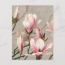 Zoek naar botanisch briefkaarten Pony