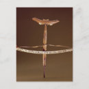 Zoek naar inuit briefkaarten Eskimo