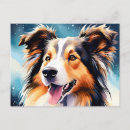 Zoek naar collie briefkaarten Huisdier