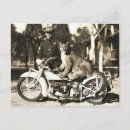 Zoek naar puma briefkaarten Leeuwen