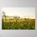 Zoek naar landbouw posters Horizontaal