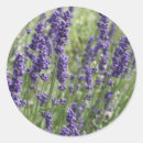 Zoek naar parfum stickers Aromatherapie