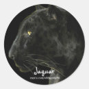 Zoek naar zwarte jaguar stickers Voor iedereen