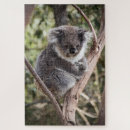 Zoek naar koala puzzels Wilde dieren