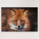 Zoek naar vos puzzels Elk persoon
