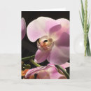 Zoek naar spatie binnen kaarten Bloemen