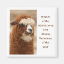 Zoek naar alpaca magneten Lama