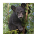 Zoek naar kubus tegels Dier