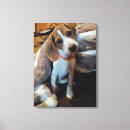 Zoek naar dobby kunst Schattig