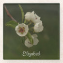 Zoek naar orchard onderzetters Botanisch