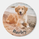 Zoek naar hond magneten Maak je eigen