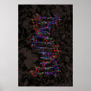 Zoek naar biochemie posters Genetica
