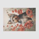 Zoek naar yorkshire terrier tissue papier Schattig