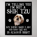Zoek naar shihtzu posters Huisdier