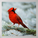 Zoek naar abstracte vogel posters Schilderij