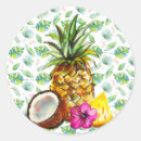 Zoek naar kokosnoot stickers Hibiscus