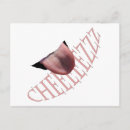 Zoek naar cheese briefkaarten Voor iedereen