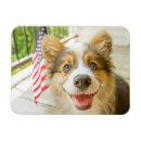 Zoek naar patriotic magneten Hond