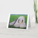 Zoek naar old english sheepdog kaarten Herdershond
