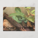 Zoek naar groene slangen briefkaarten Python