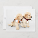 Zoek naar kerstkaart hond kaarten Dieren