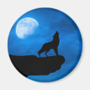 Zoek naar wolfs magneten Nacht