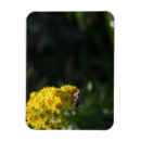 Zoek naar gele bloemen magneten Geel