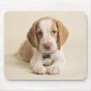 Zoek naar puppy muismatten Fotografie