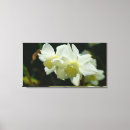 Zoek naar wachtkamer kunst Voor iedereen