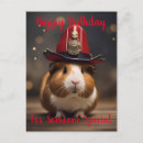 Zoek naar cavia briefkaarten Varken