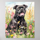 Zoek naar cane corso kunst Liefhebber