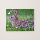 Zoek naar konijnen puzzels Elk persoon