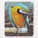 Zoek naar ara muismatten Vogels