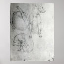 Zoek naar schoonmaken posters Dieren