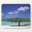 Zoek naar aruba muismatten Kust