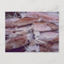 Zoek naar catch briefkaarten Zee