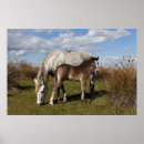 Zoek naar boerderijdieren posters Baby