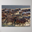 Zoek naar mongolië posters Paard
