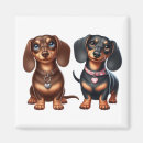 Zoek naar teckel magneten Puppy